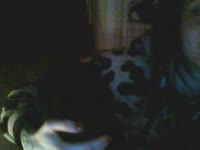 Im little sparrow and im looking for a sugar daddy