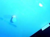 I am a trans girl full of energy, charisma and a contagious smile. I like to be seen as an authentic, fun and very confident woman of who I am.